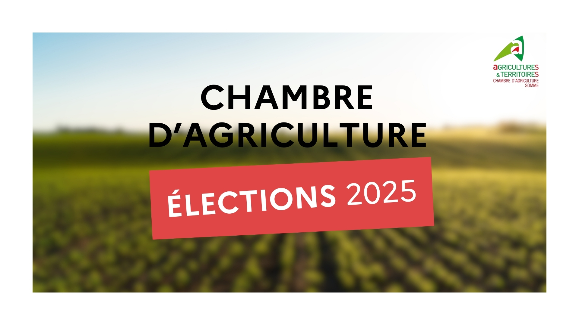 You are currently viewing Election des membres de la Chambre d’Agriculture